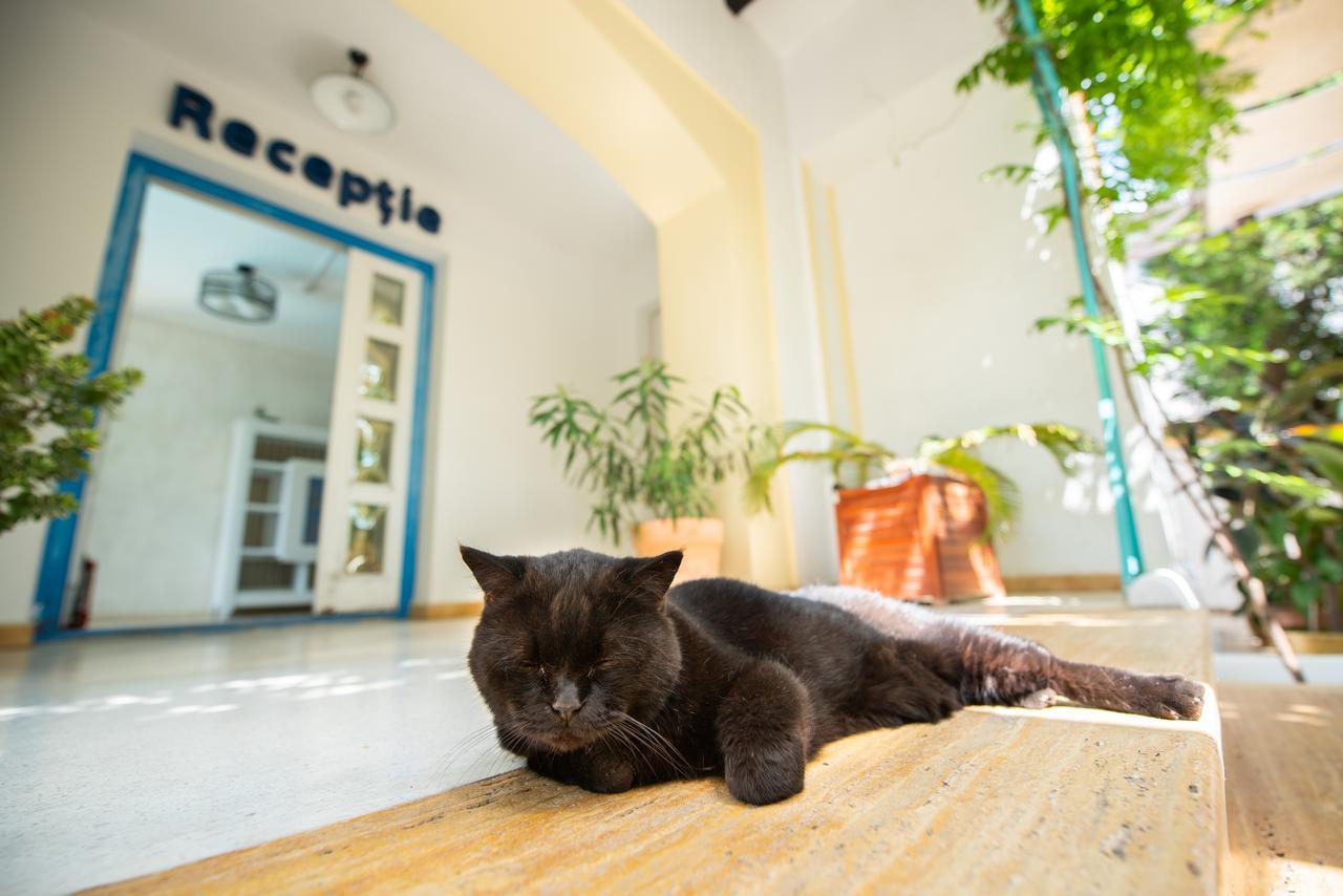 Villa Pontica Năvodari Zewnętrze zdjęcie